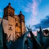 Oaxaca, land of mezcal