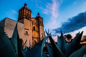Oaxaca, land of mezcal