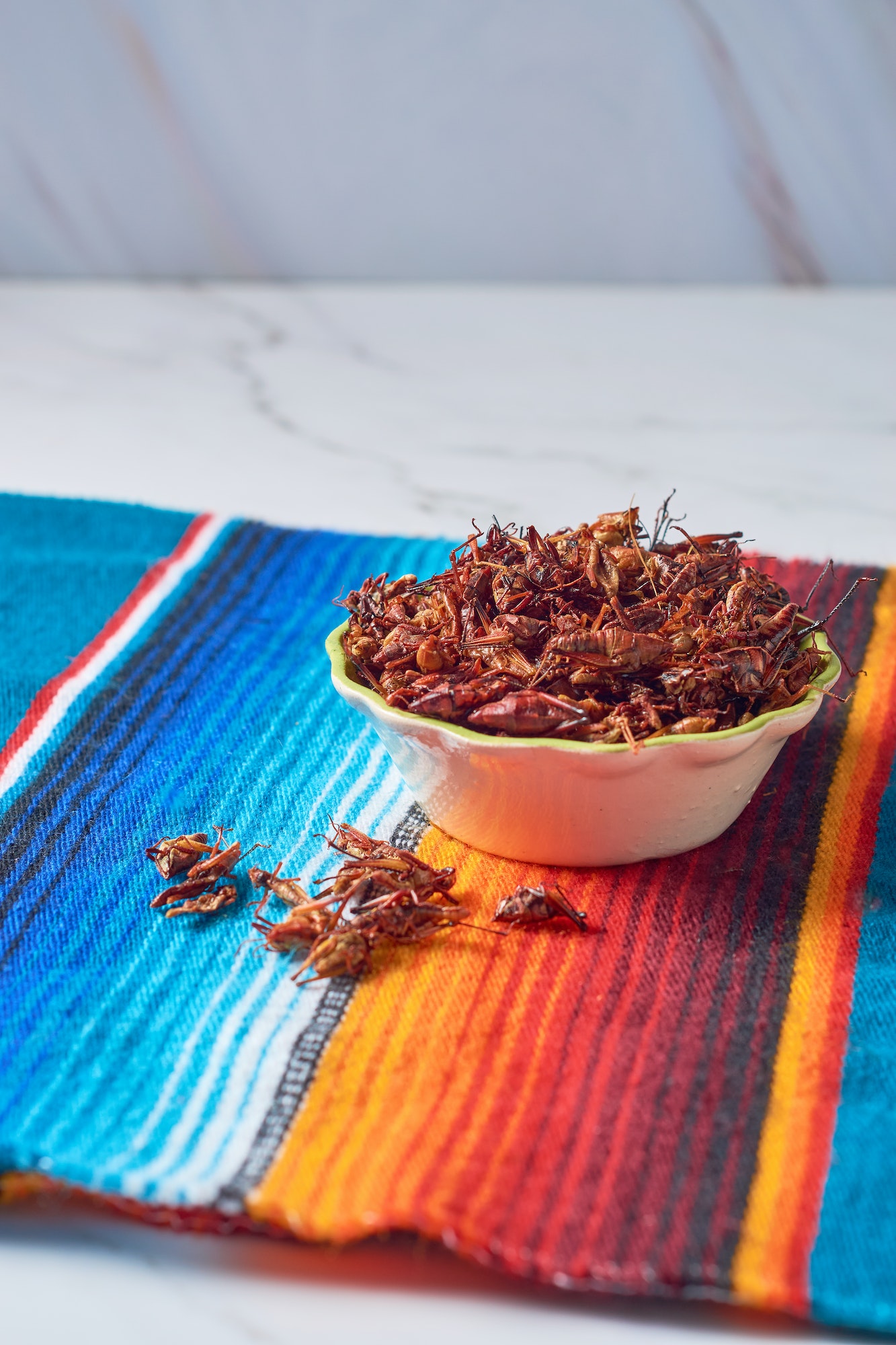Chapulines or Grasshoppers, traditional snack from Oaxaca Mexico